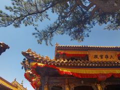 -五台山风景名胜区