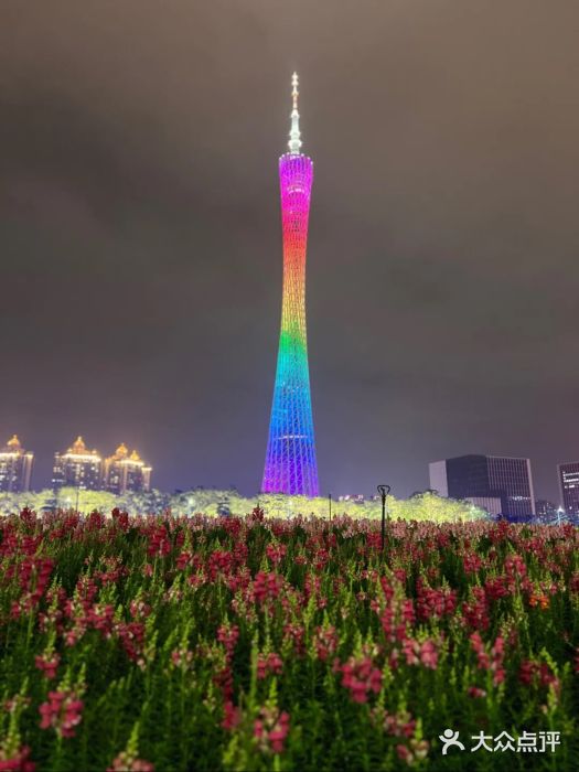 珠江夜游省总码头图片