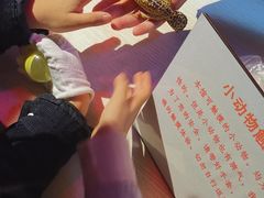 -上海大自然野生昆虫馆(东方明珠·爬宠昆虫探索中心)