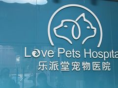 -乐派堂宠物医院·猫友好· 心脏科(东街店)