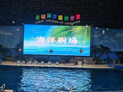 -泉城欧乐堡海洋极地世界