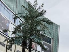 -上海世纪汇广场