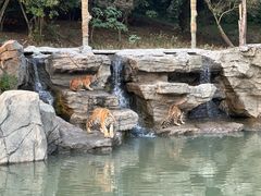 -宁波野生动物园