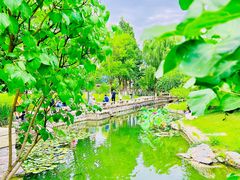 -三里河公园