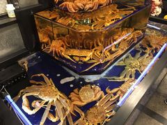 -蟹道乐(道顿堀本店)