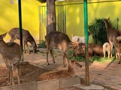 -荆州中山公园动物园