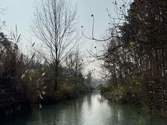 -桤木河湿地公园