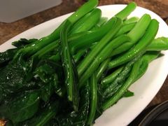 -金鼎轩(方庄天坛店)