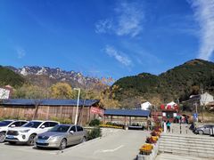 -王顺山国家森林公园