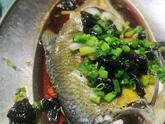 -石岐乳鸽村(南海第三分店)