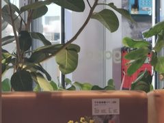 -gaga(深圳福田星河COCO Park店)