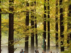 -国家植物园南园