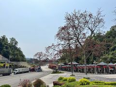 -友谊关景区