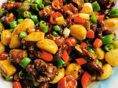 -青城甲(青城山店)