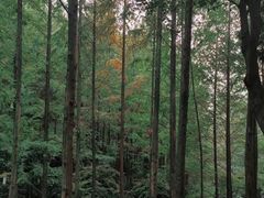 -重庆中央公园(渝北区)