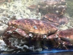 -盒马鲜生(曜一城店)