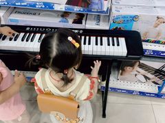 -TOYSRUS玩具反斗城(合肥华润万象城店)