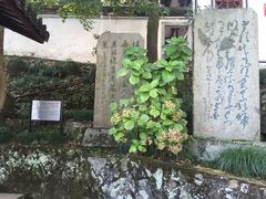 -严子陵钓台(富春江小三峡)