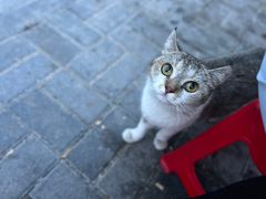 -清真·馬坡二旦烧烤(人生一串拍摄店)