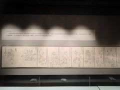 -四川大学博物馆