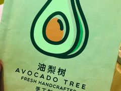 -油梨树AVOCADO TREE(望京店)