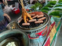 -西双版纳傣族园