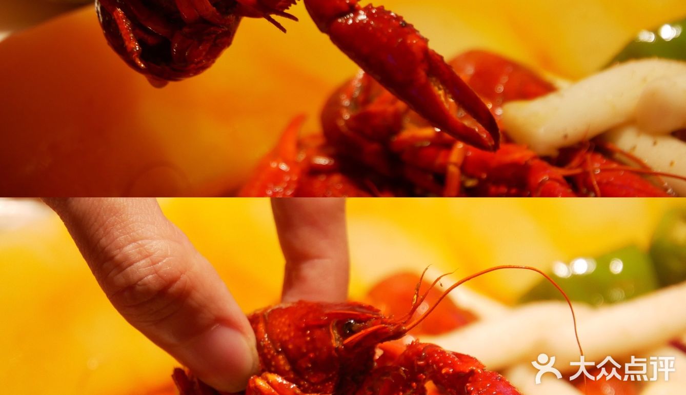 魔都探店｜沪九哥龙虾&海鲜烧烤