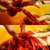 魔都探店｜沪九哥龙虾&海鲜烧烤