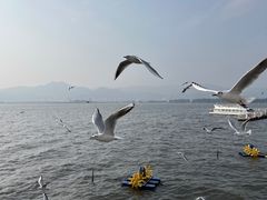 -滇池海埂公园