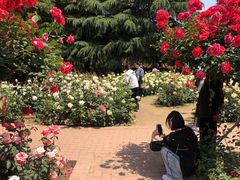 -郑州植物园