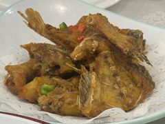 -寻味顺德·南记酒家·传统顺德菜·鱼生(广源路店)