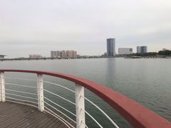 -天津金海湖