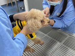 -宠颐生动物医院·小陆分院