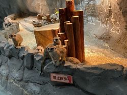 -Zoolung Zoolung动物主题公园(海信广场店)