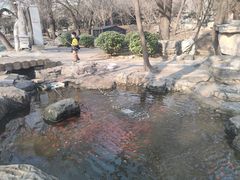 -廊坊市自然公园