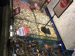 -徐记海鲜(陕西历史博物馆|明德门店)