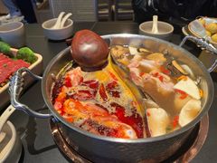 -季季山•云南野生菌火锅(上海首店)