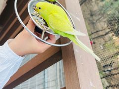 -燕塞湖鸟语林景区