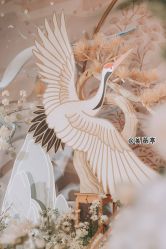 -美薇亭婚礼顾问