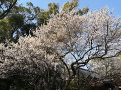 -热田神宫