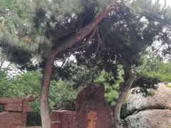 -山叶口景区