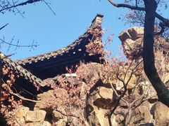-个园