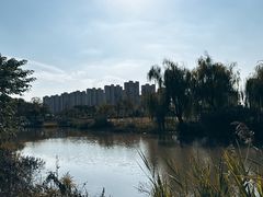 -江滩湿地公园