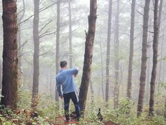 -苍山感通索道