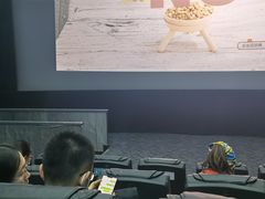 -华谊兄弟影院(IMAX洋桥店)