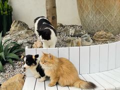 -自由生长植物工作室(深港花卉中心店)