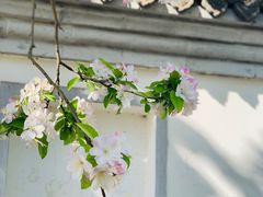 -海棠花溪(元大都城垣遗址公园)