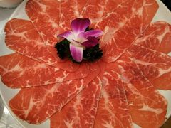 -禄婶鸡煲·打边炉