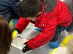 -Mr·Kuma酷么先生雪之乐园
