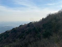 -北京西山国家森林公园